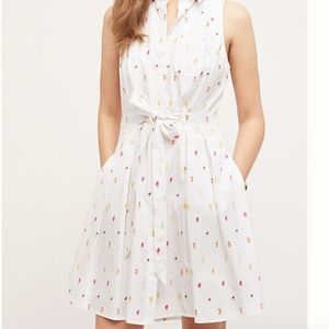 HD in Paris | Paleta Shirtdress | 12 | NWOT